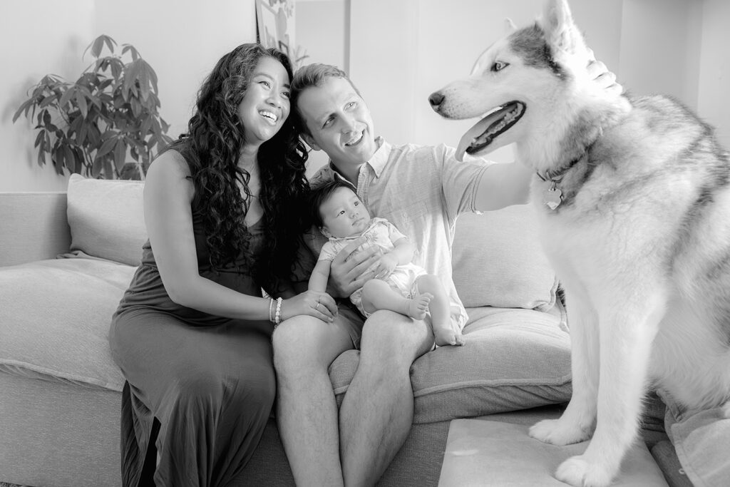 family photography at home including thier dogs